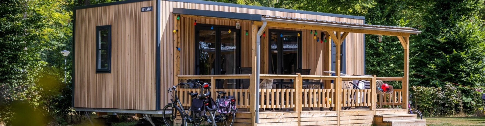 Atmosphere photo forest lodge