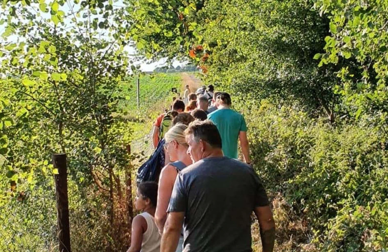 Walking in Limburg 10