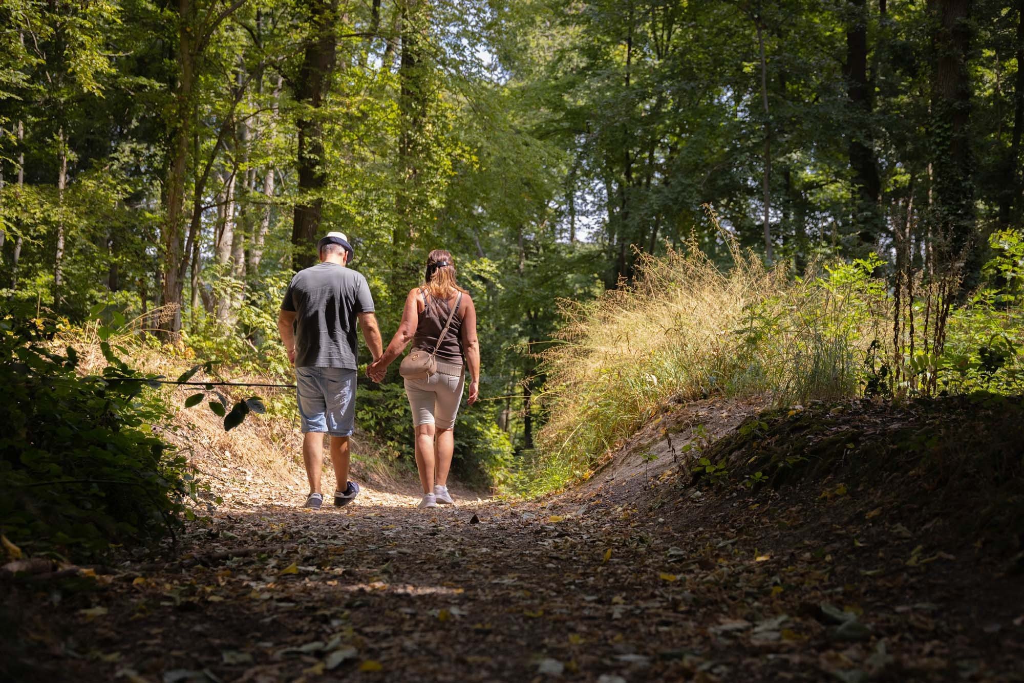 Walking in Limburg 3