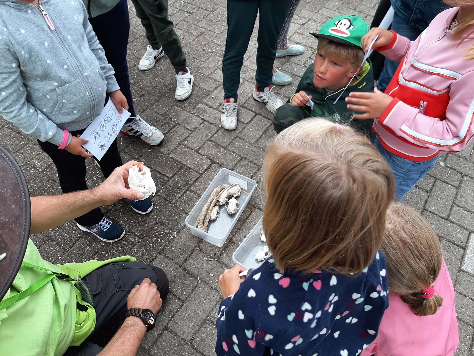 Walking in Limburg 6