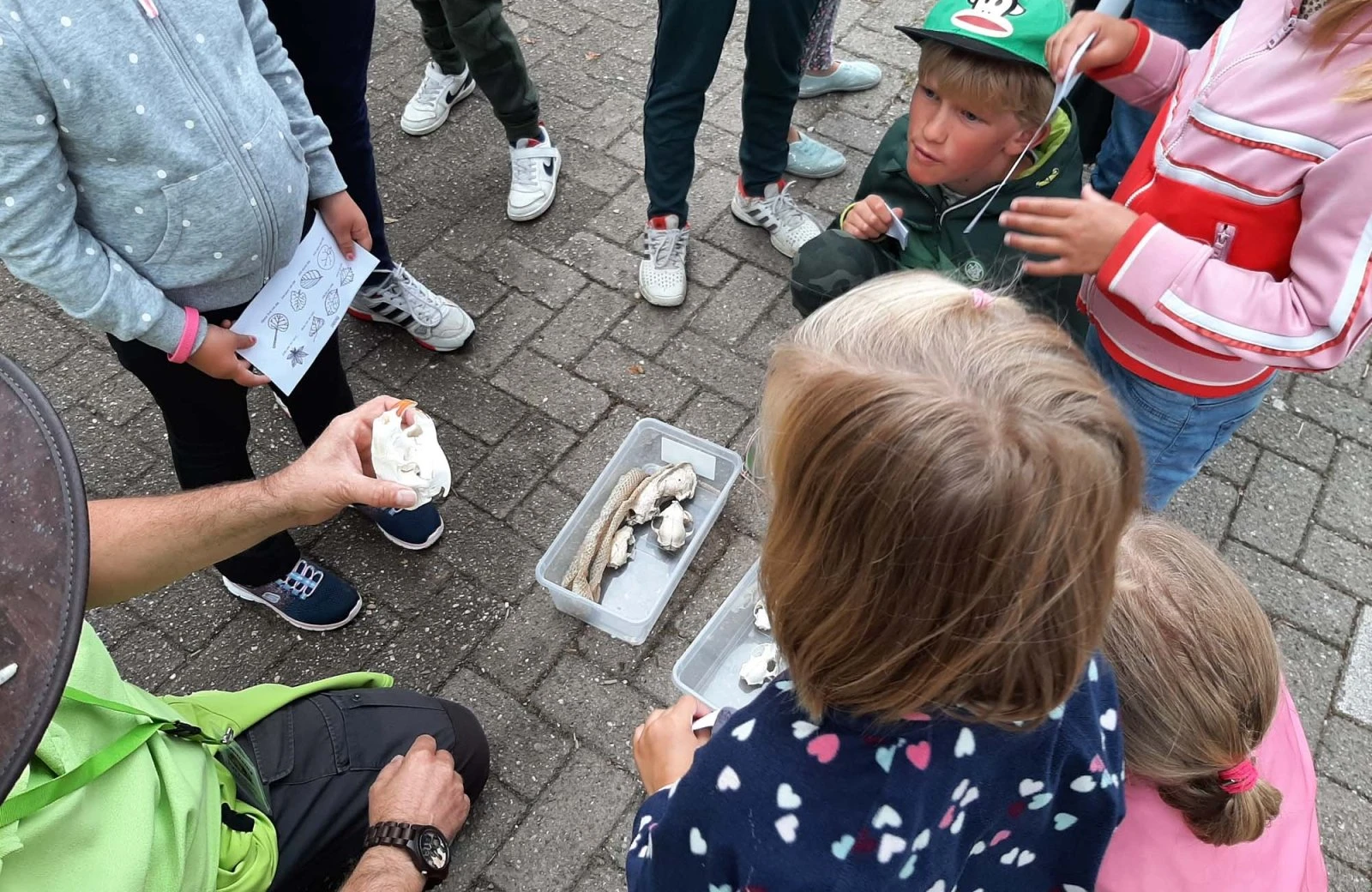 Walking in Limburg 6